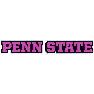 vinyl decal pink Penn State